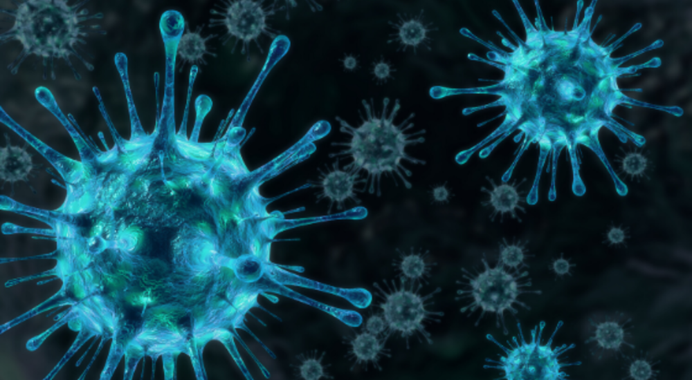 Coronavirus Update  from MedGen
